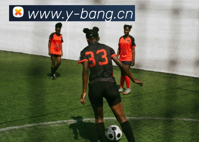 emc易倍官网入口平台生态图